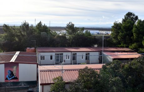 DSC_3576_bearb (Large)